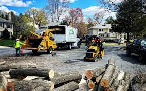 Dawson, MN Tree Removal Company