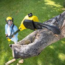 Best Lawn Mowing  in Dawson, MN